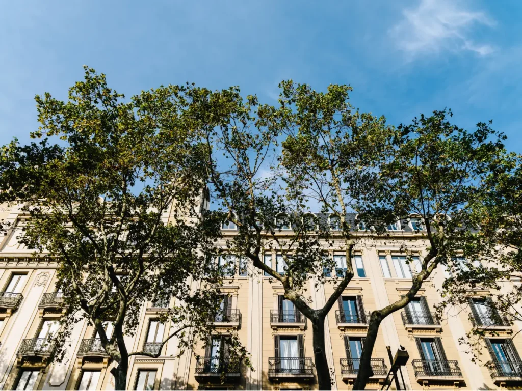 copropriété - ediag - diagnostic immobilier
