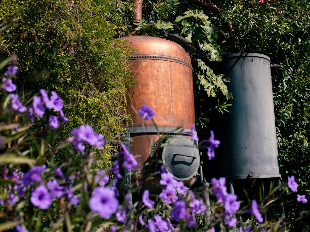 Jardin de Grasse, capitale du parfum : DPE à Grasse par EDIAG